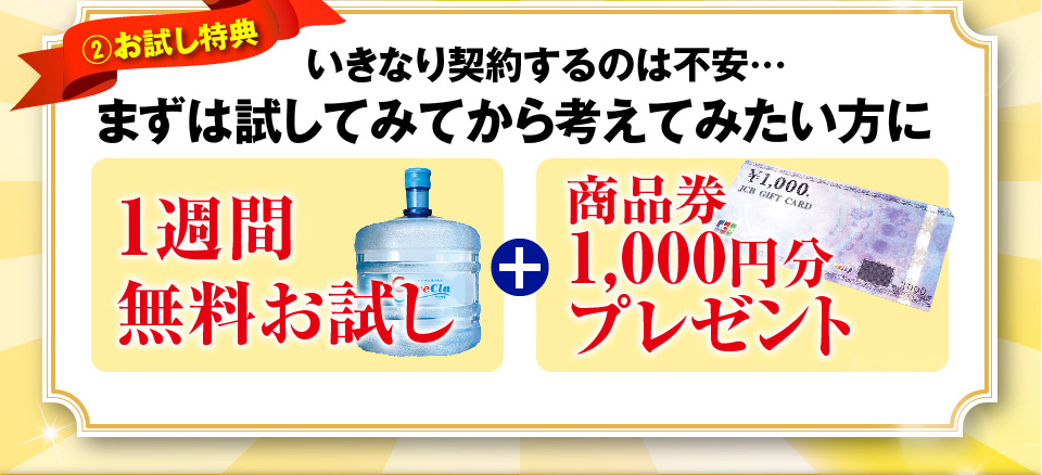 お試し特典